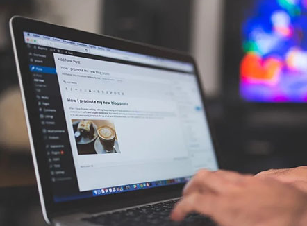 上海網(wǎng)站建設公司